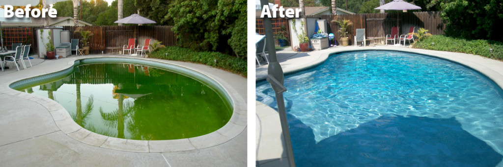 Pool Service Plus Resurfacing (Diamond Brite)